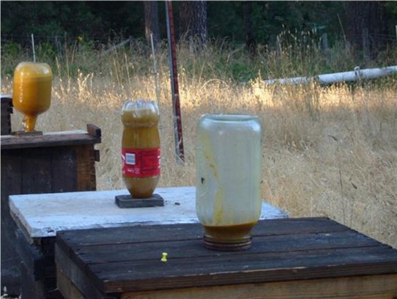Testing feeders