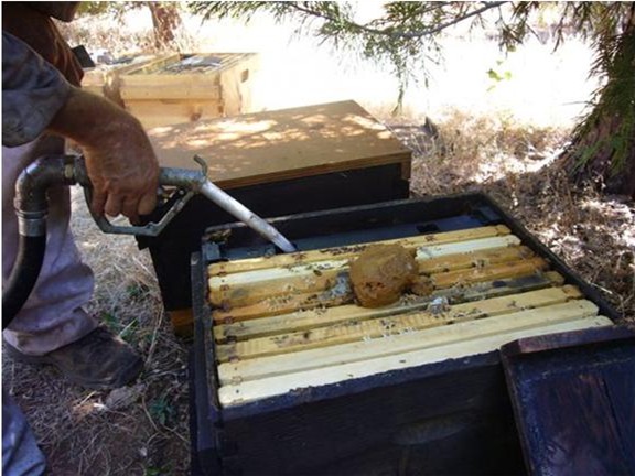 Filling a frame feeder