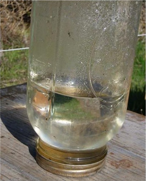 Feeder jar