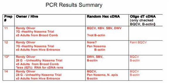 PCR results summary