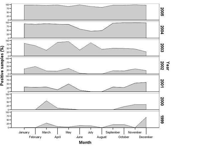 Postive Nosema Samples
