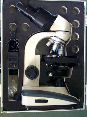 Modified case