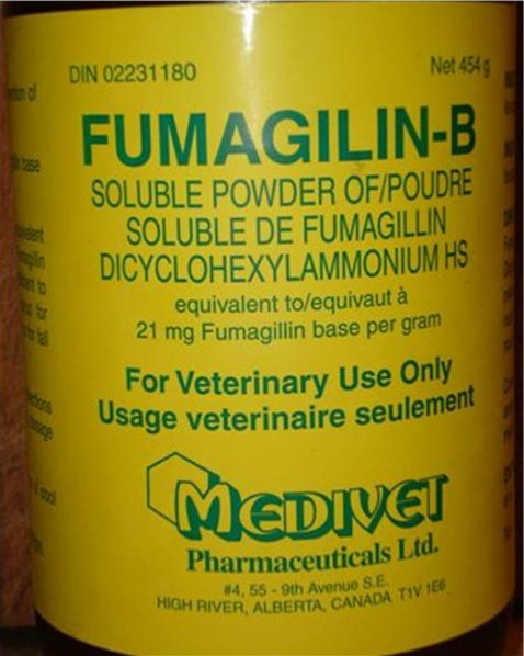 Fumagillin-B
