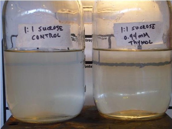 Thymolated syrup test