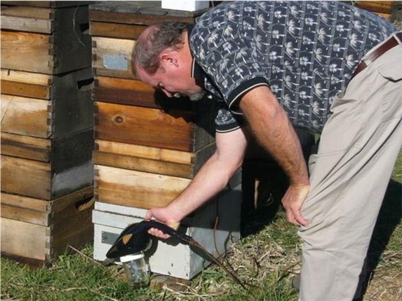 Using Suck-a-Bee