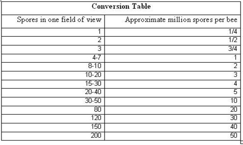 Conversion table
