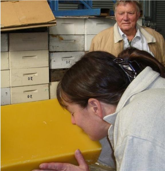 Tasmanian Leatherwood beeswax