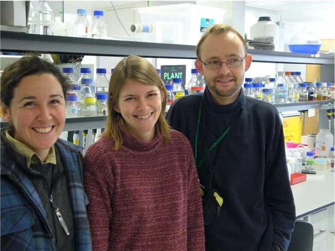 Tiffane Bates, Veronica Poland, Dr. Boris Baer