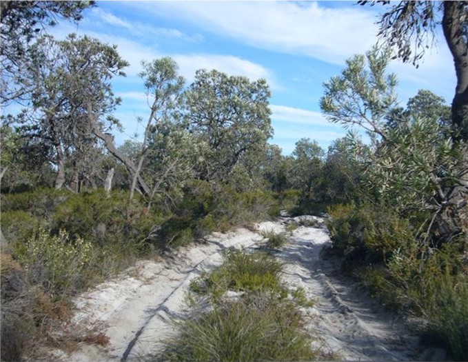 Entry to beeyard