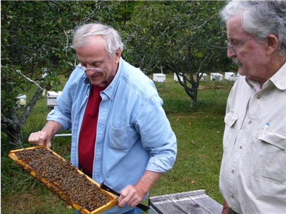 Dr. Tom Rindered and Russian bee breeder Carl Webb at Carl's home apiary