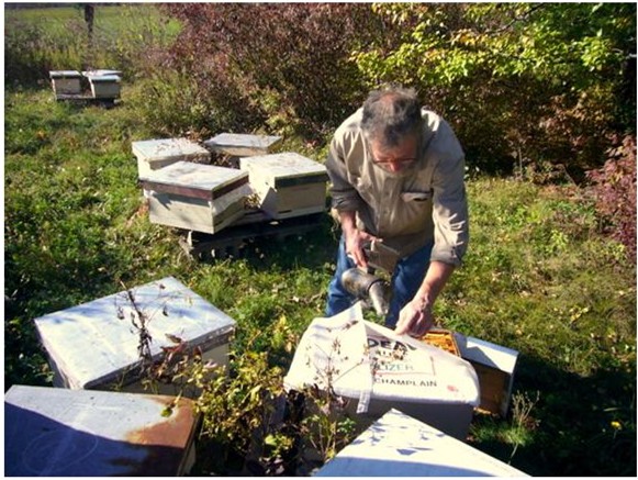 Kirk Webster checking 4-way nucs prior to winter