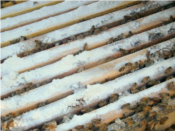 Sugar trapped on top bars of lower brood chamber